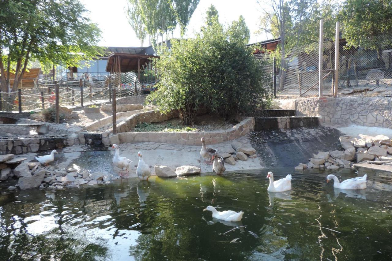 Posada Rural Spa Granja La Tejera De Lozoya Gargantilla del Lozoya Zewnętrze zdjęcie